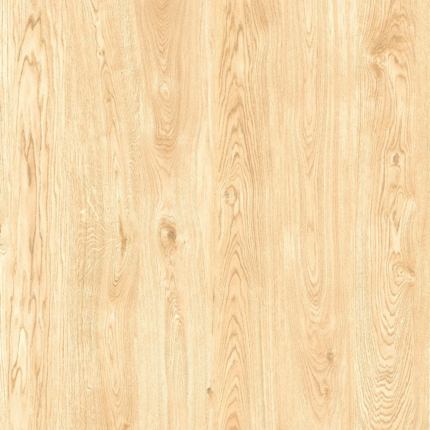 ProGRES Ceramica KeraForest Pine   60x60