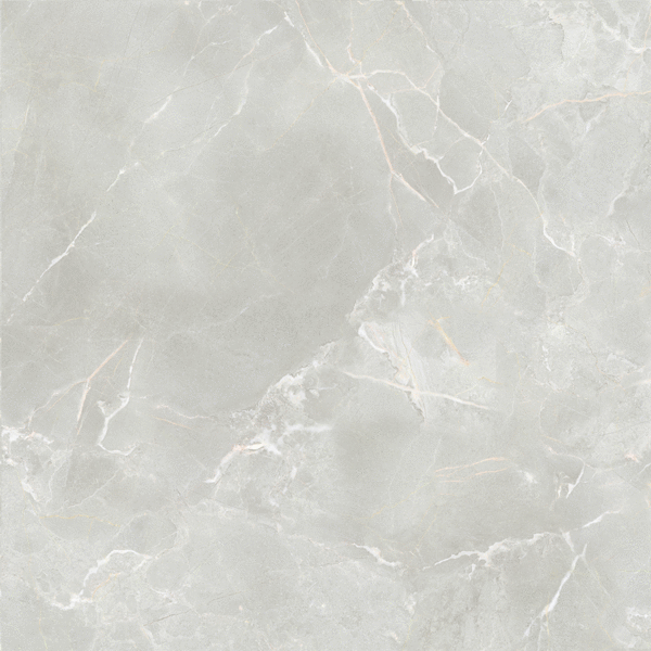 ProGRES Ceramica Marble Cloud    60x60 -2