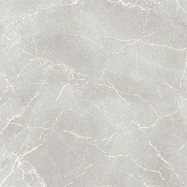 ProGRES Ceramica Marble Cloud    60x60 -4