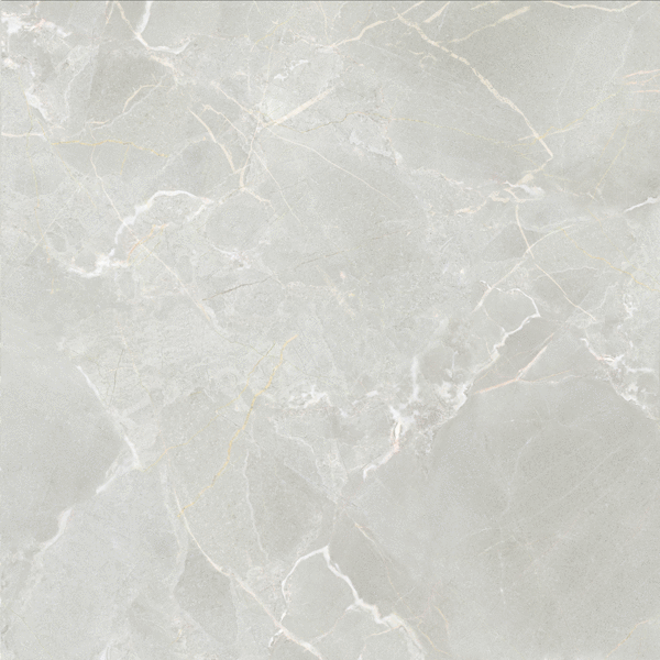 ProGRES Ceramica Marble Cloud    60x60 -5