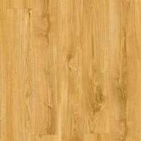 BACL 40023    (1251x187)