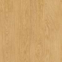 BACL 40033    (1251x187)