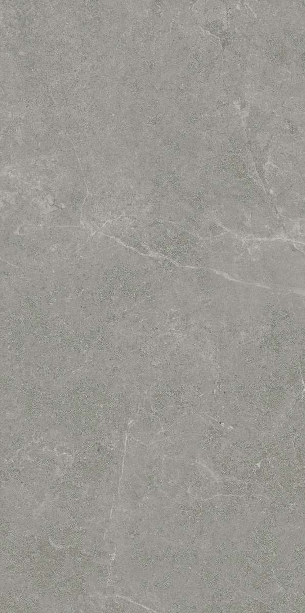 Realistik Ankara  Matt 60x120 -2