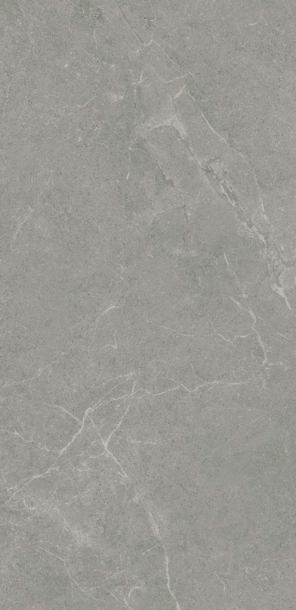 Realistik Ankara  Matt 60x120 -3
