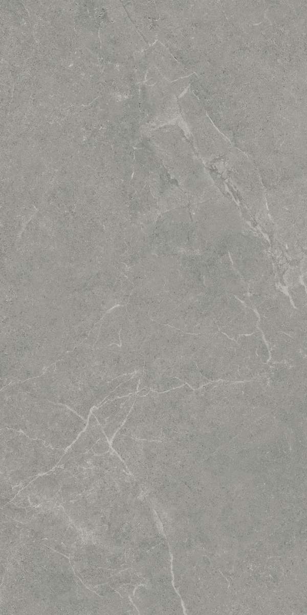 Realistik Ankara  Matt 60x120 -6