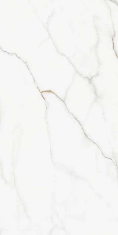 Realistik Kingston Silky Matt 60x120 -5
