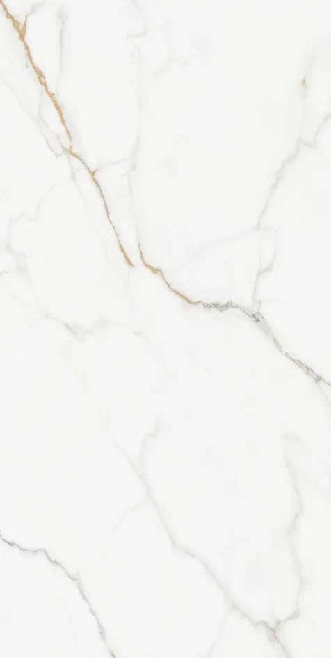 Realistik Kingston Silky Matt 60x120 -6