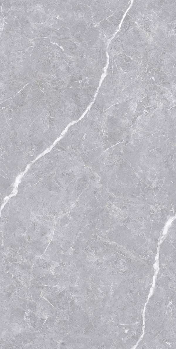 Polished Silver Carving 60x120 (600x1200)