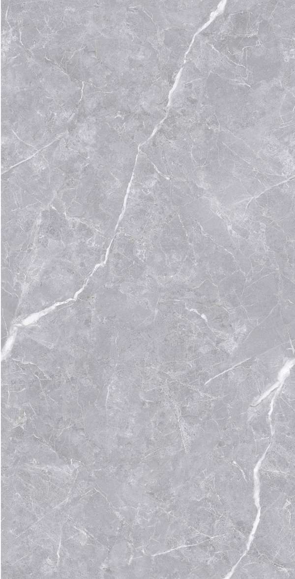 Realistik Luanda Polished Silver Carving 60x120 -2
