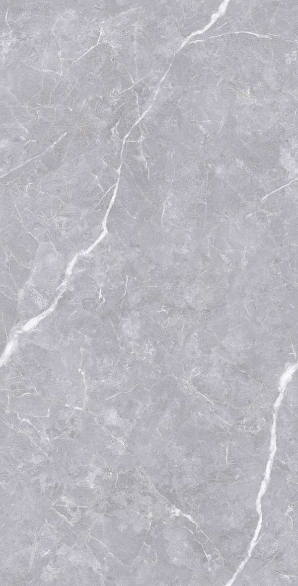 Realistik Luanda Polished Silver Carving 60x120 -3