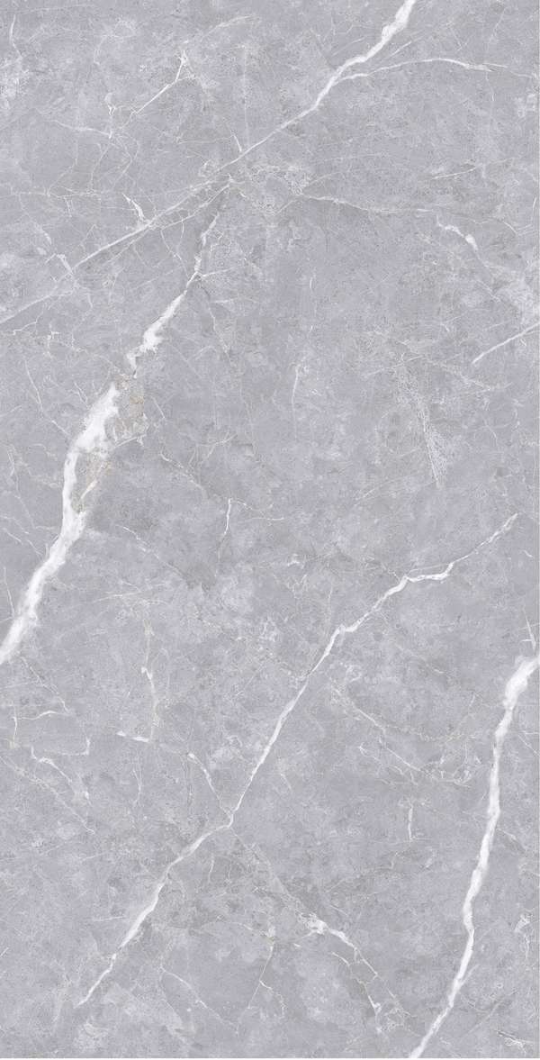 Realistik Luanda Polished Silver Carving 60x120 -5