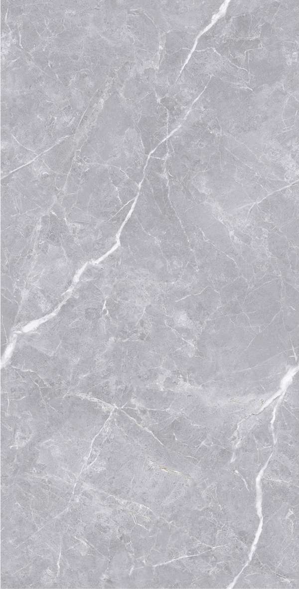 Realistik Luanda Polished Silver Carving 60x120 -6