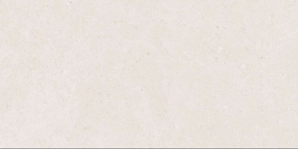 Light Grey Gloss 60x120 (1200x600)