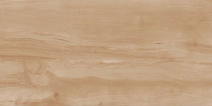 Realistik Paint Wood Bone Gloss 60x120