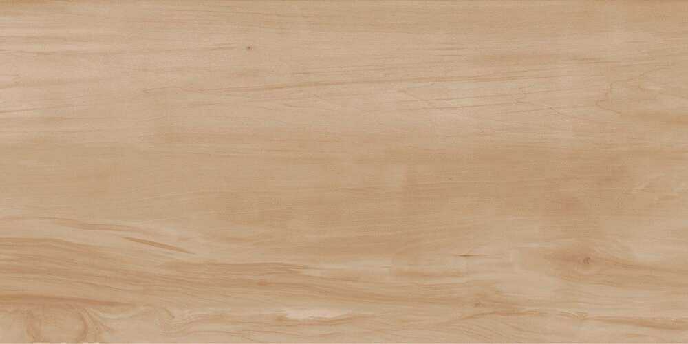 Realistik Paint Wood Bone Gloss 60x120 -2