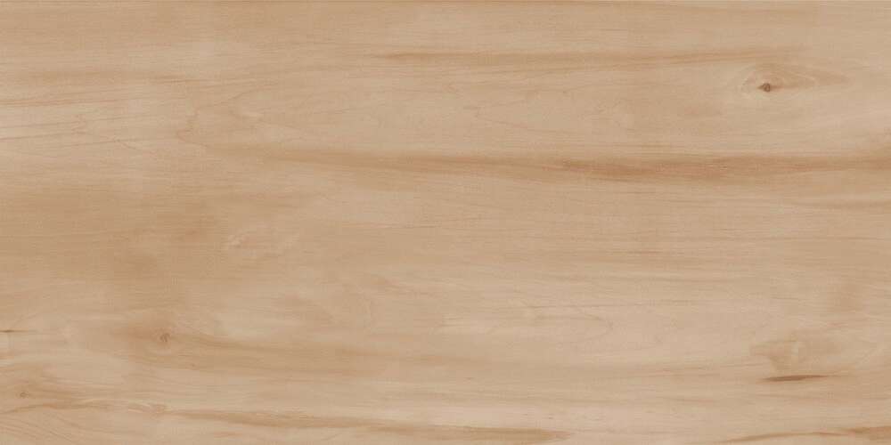 Realistik Paint Wood Bone Gloss 60x120 -3