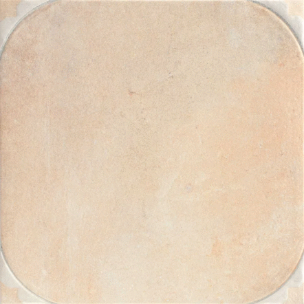 Arena 44.244.2 (442x442)