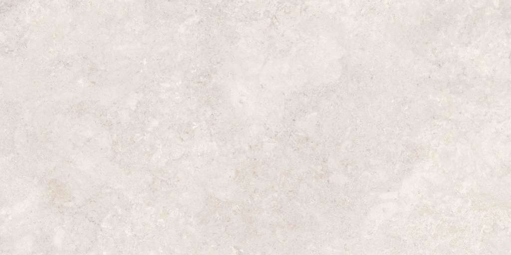 Ivory Matt 60x120 (1200x600)