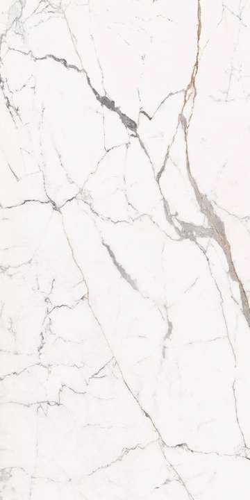 Rex Ceramiche Les Origines De Rex Or Glossy 120x240 -2