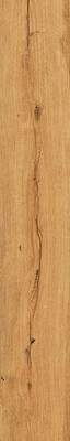 Rondine Group Feelwood Cognac 24x150 -2