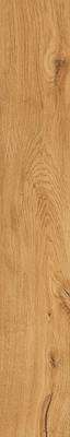 Rondine Group Feelwood Cognac 24x150 -4