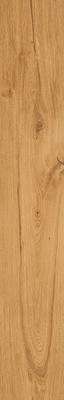 Rondine Group Feelwood Cognac 24x150 -5