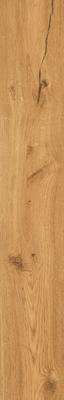 Rondine Group Feelwood Cognac 24x150 -10