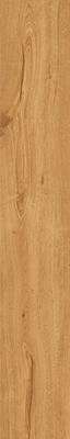 Rondine Group Feelwood Cognac 24x150 -11