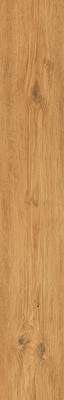 Rondine Group Feelwood Cognac 24x150 -15