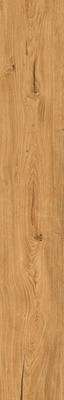 Rondine Group Feelwood Cognac 24x150 -18