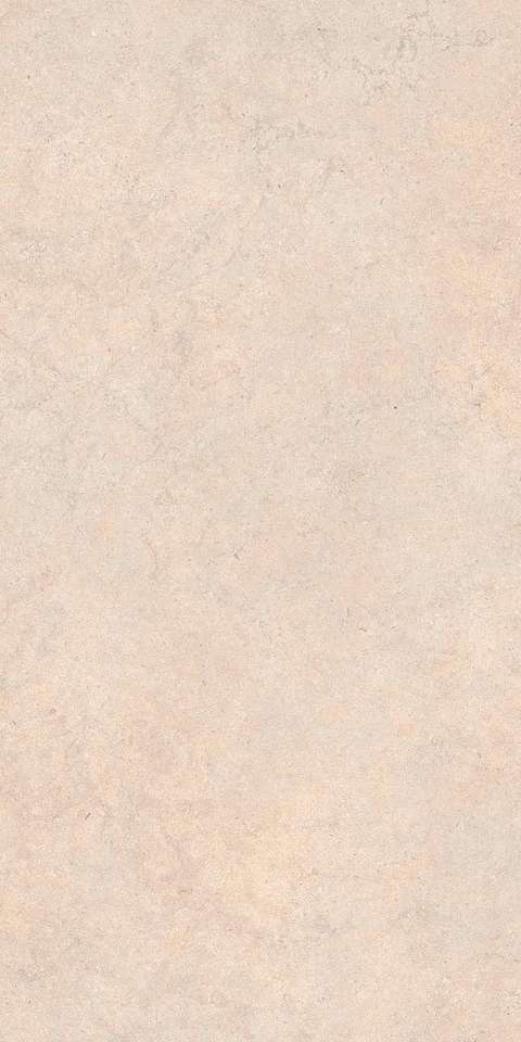 Taupe 60x120 (600x1200)