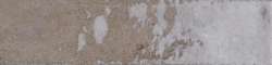 Taupe (250x60)