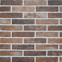 Old Red Brick (250x60)
