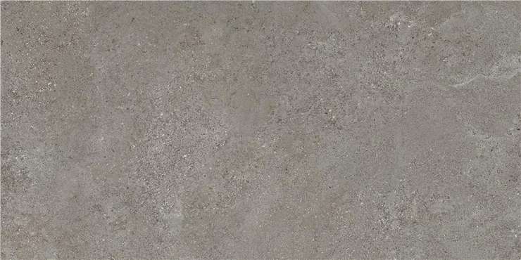 STN Ceramica Arenite Dark Grey Mt Rect 60x120