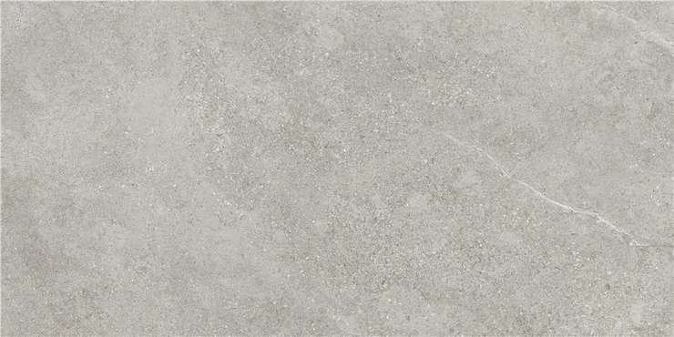 STN Ceramica Arenite Grey Mt Rect 60x120