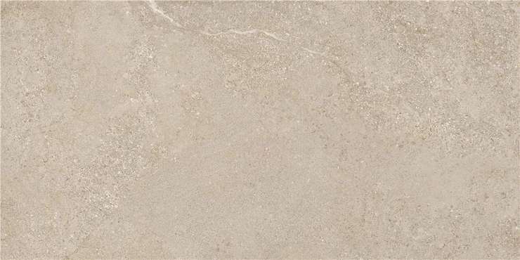 STN Ceramica Arenite Natural Mt Rect 60x120