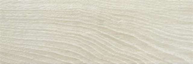 STN Ceramica Articwood Ice Gray Rect