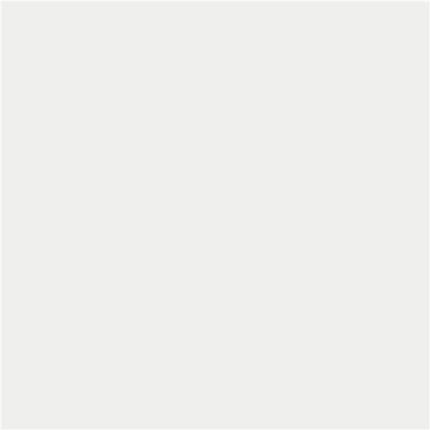 STN Ceramica Core P.C. White MT Rect 6mm 80x80