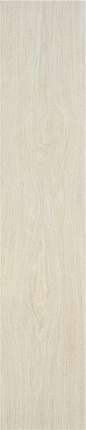 STN Ceramica Kael P.E. Blonde MT 30x150