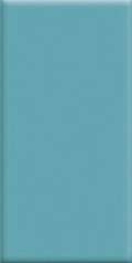 Turquoise (120x245)
