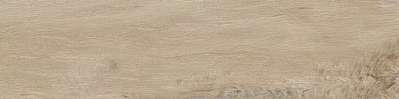 Leccio Gentile 10x40 (400x100)