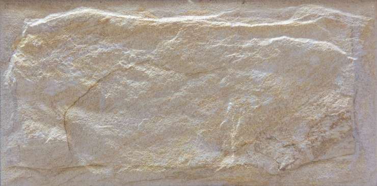 SilverFox Anes 414 Beige 1482958.7