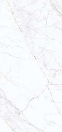 Simpolo Ceramics Carrara Fogg Pg Carrara Fogg 3pc 59.8119.8