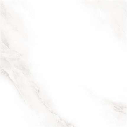 Sina Tile Shine Grey Polished 60x60