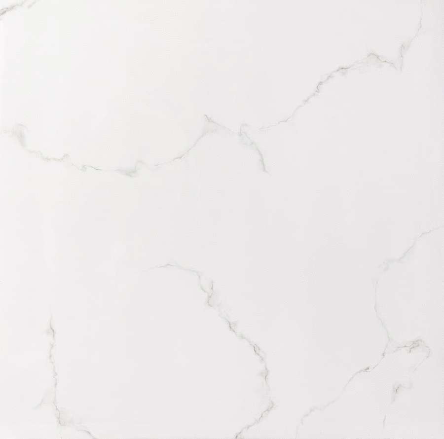 White Polished 2881 (900x900)