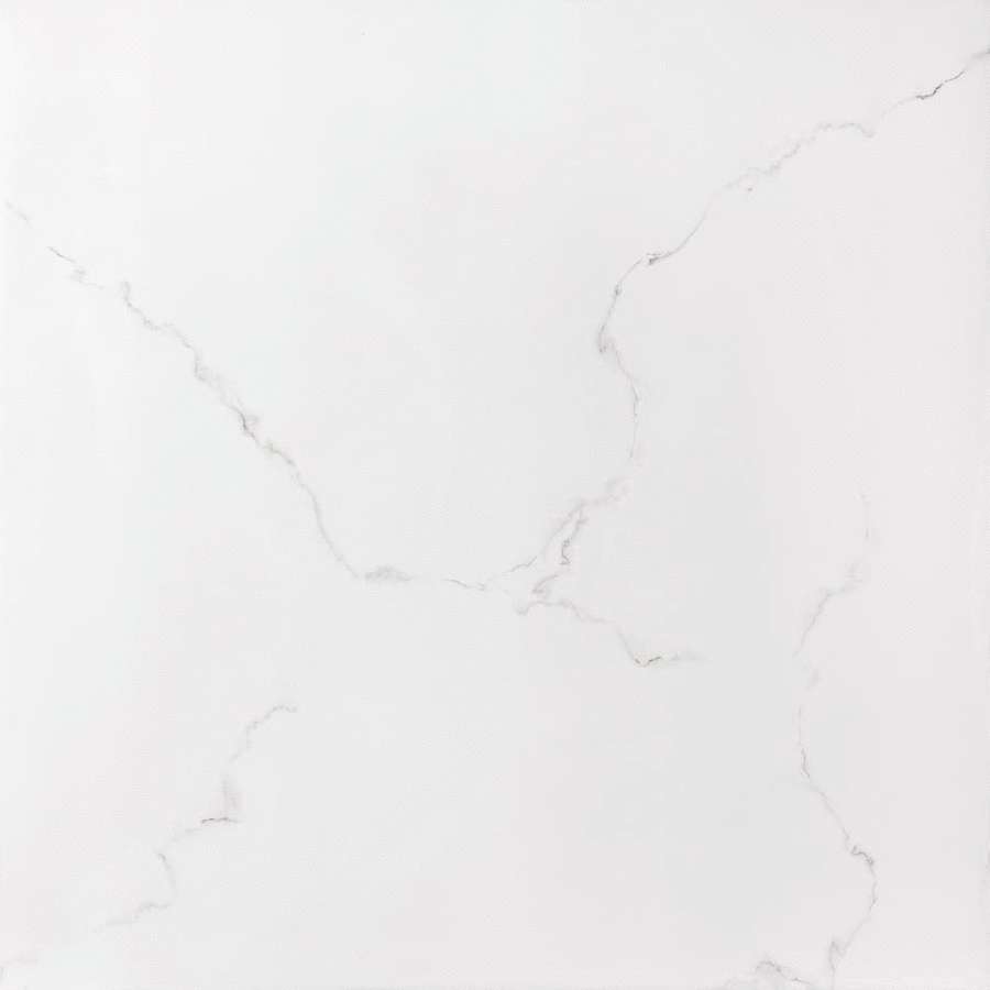 Sina Tile Versace White Polished 2881 -2