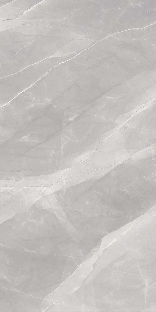 Regal Armonia Grey Carving   (800x1600)