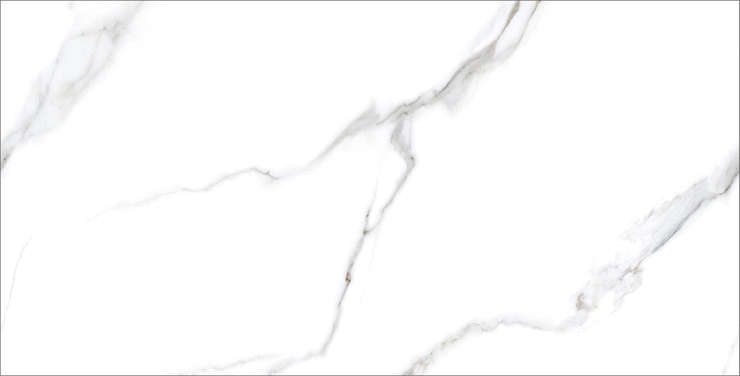 Staro Rizzi Statuario Carvino 60x120 Polished