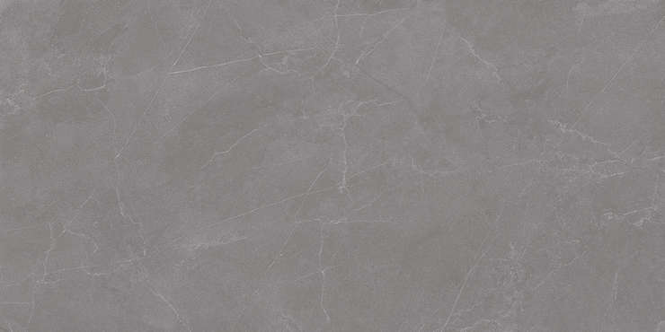 Staro Rizzi Valencia Grey 60x120 Matt