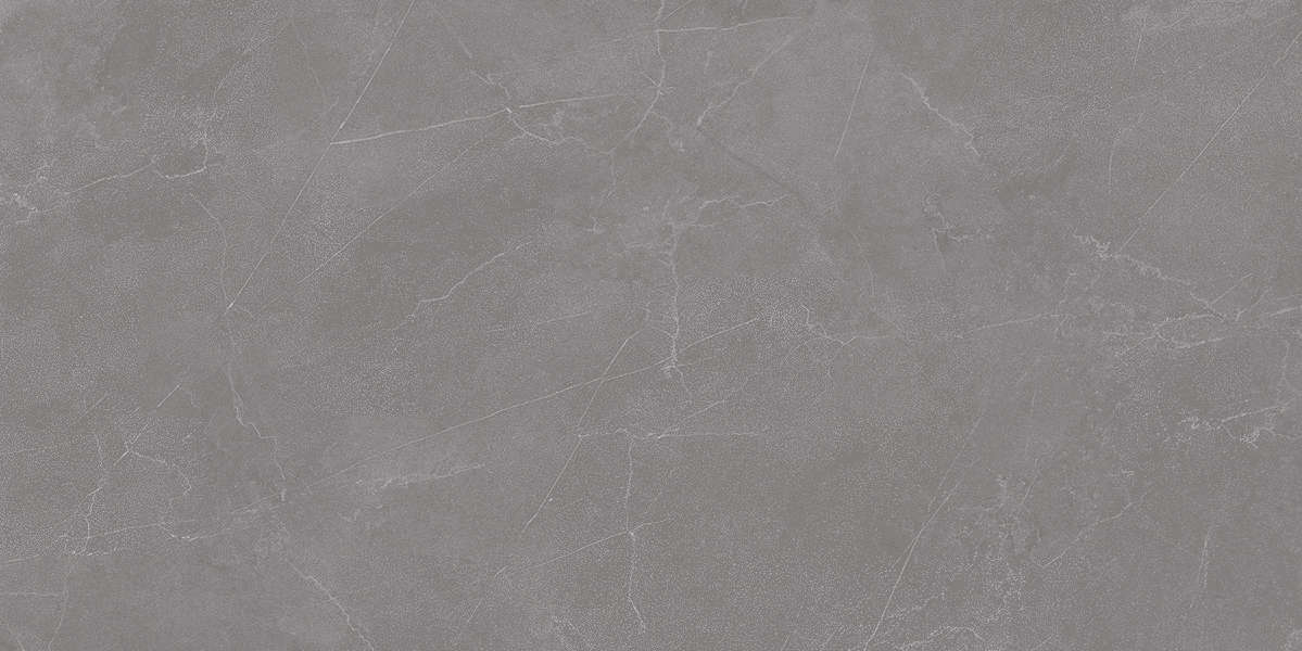 Valencia Grey 60x120 Matt (1200x600)